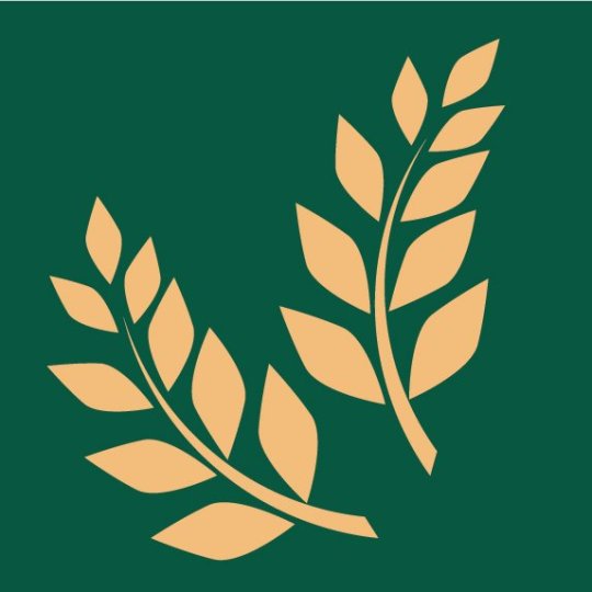 Organization Logo