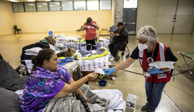 Agency Photo  (158572)