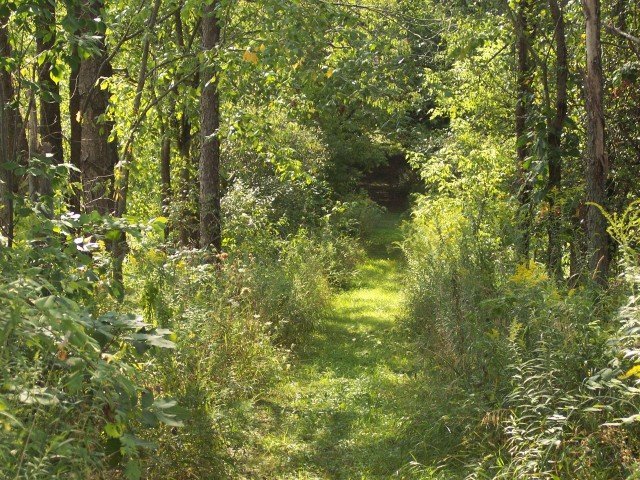 Agency Photo  (262283)