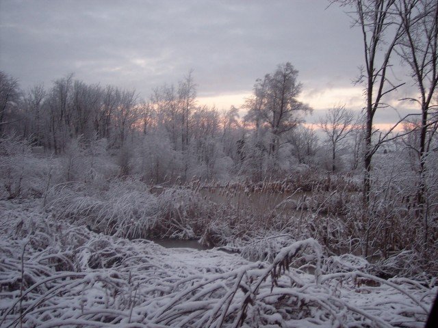 Agency Photo  (262281)