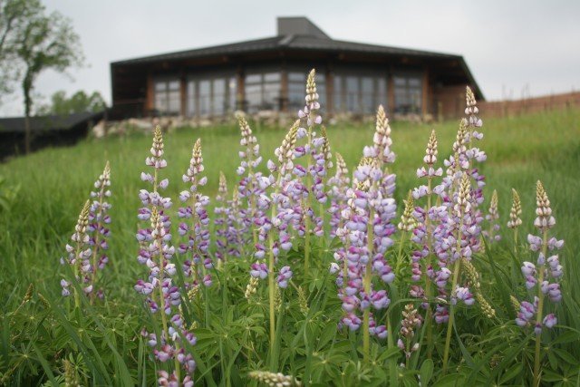 Agency Photo  (262284)