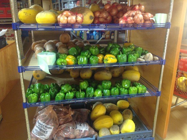 Agency Photo  (262393)