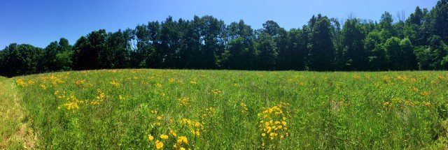 Agency Photo  (262379)