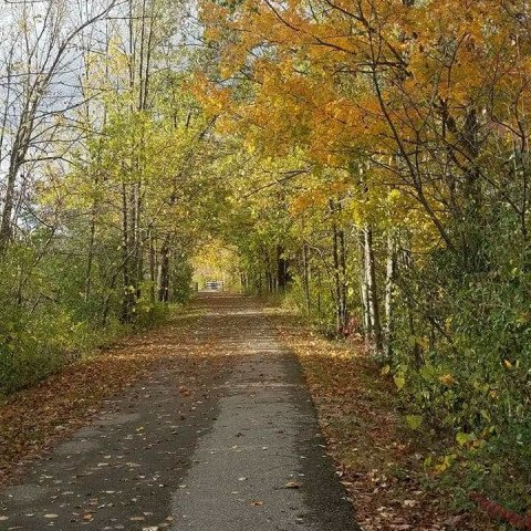 Agency Photo  (262331)