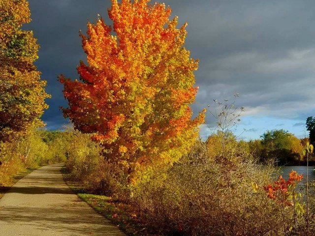 Agency Photo  (262336)