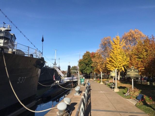 Agency Photo  (201716)