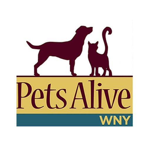 Agency Logo