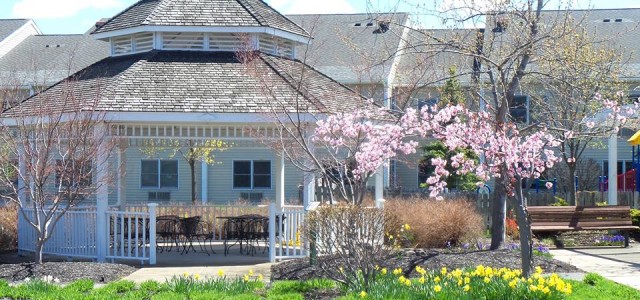 Agency Photo  (47580)