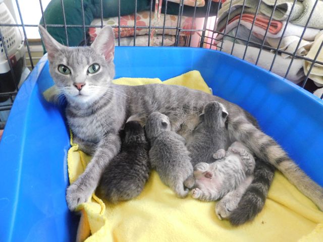 Agency Photo  (144094)