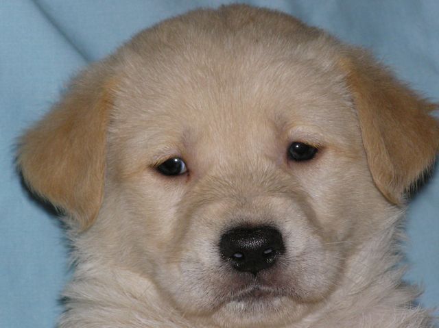 Agency Photo  (137955)