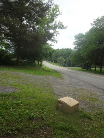 Agency Photo  (144096)