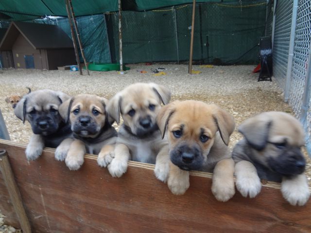 Agency Photo  (137956)