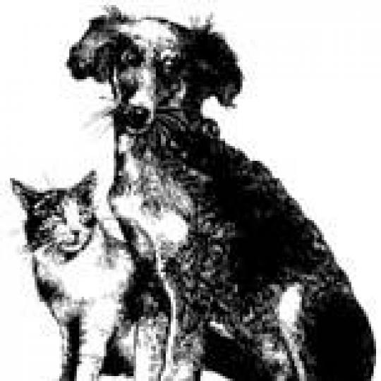 Agency Logo