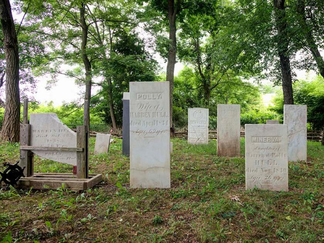 Agency Photo  (154425)