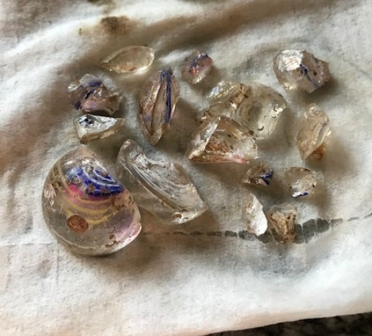 Agency Photo  (153875)