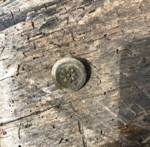 Agency Photo  (153870)