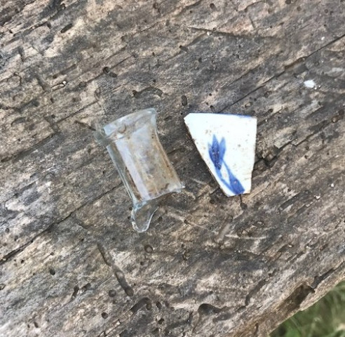 Agency Photo  (153869)