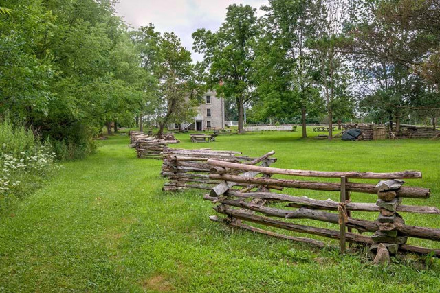 Agency Photo  (154427)