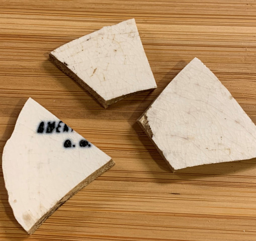 Agency Photo  (153882)