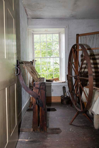 Agency Photo  (154420)