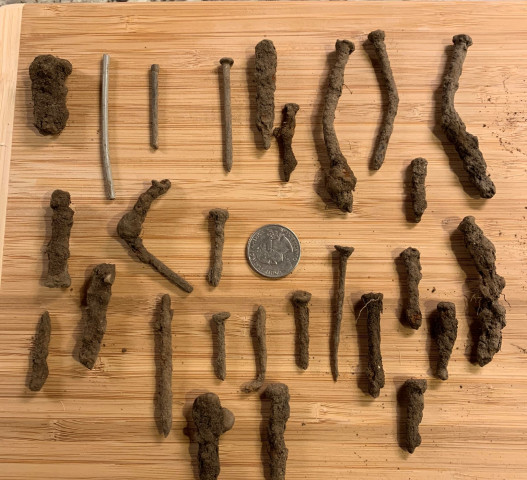 Agency Photo  (153889)