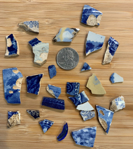 Agency Photo  (153888)