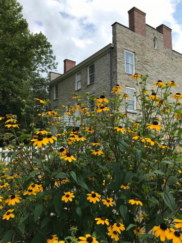 Agency Photo  (155192)