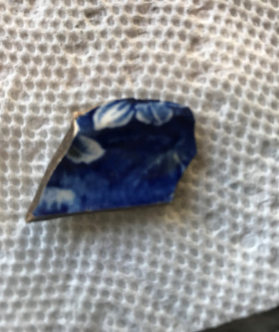 Agency Photo  (153867)