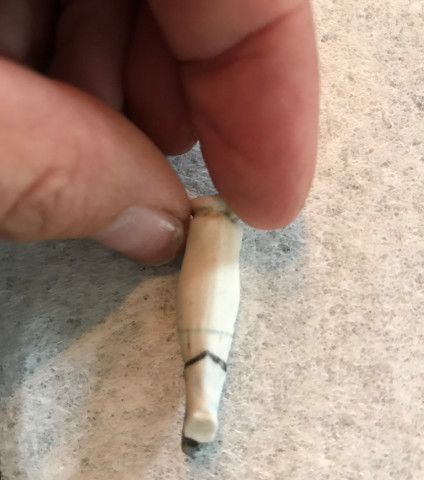 Agency Photo  (153866)