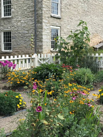 Agency Photo  (155193)