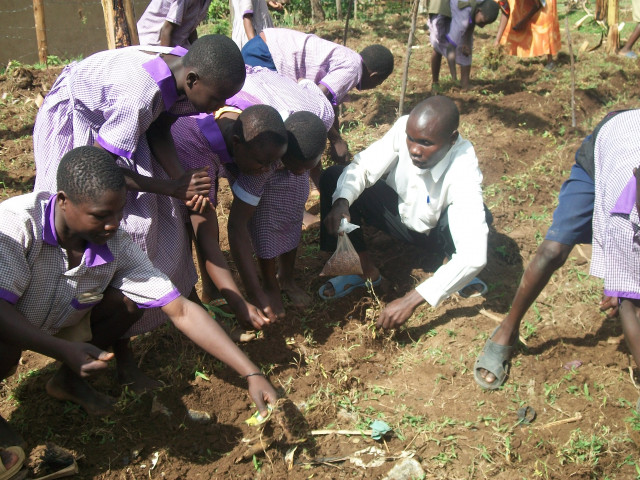 Agency Photo  (161927)