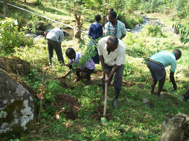 Agency Photo  (117387)