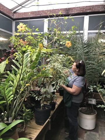 Agency Photo  (76536)