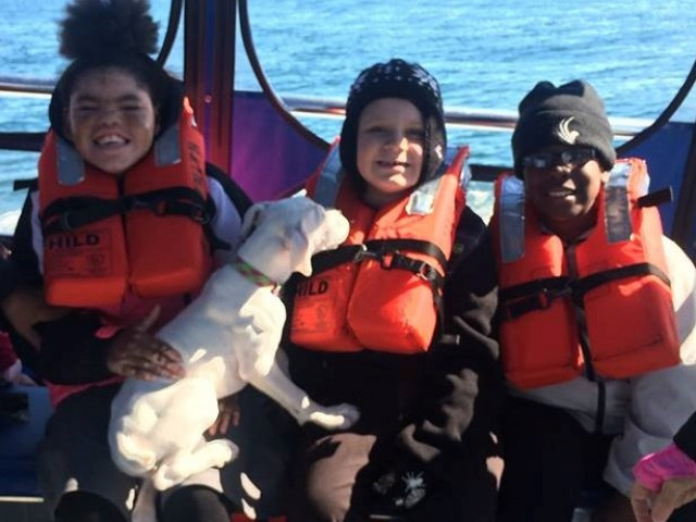 Agency Photo  (167542)