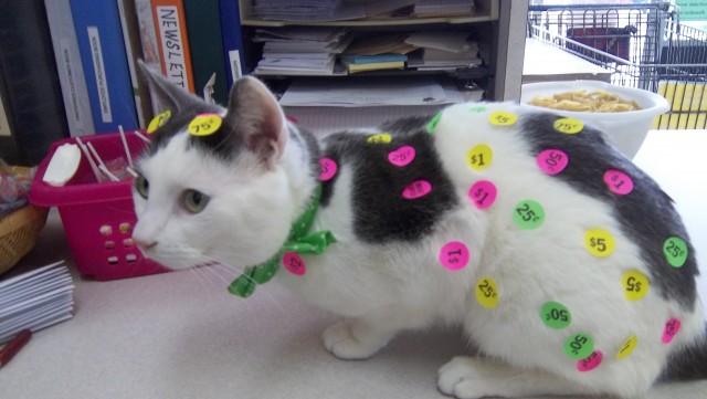 Agency Photo  (53781)