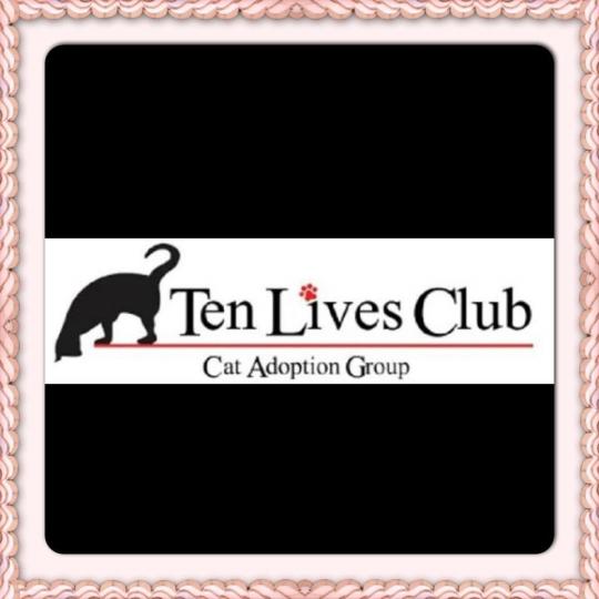 Agency Logo