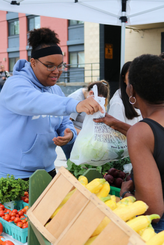 Agency Photo  (140848)