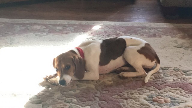 Agency Photo  (78097)