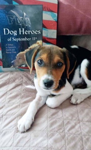 Agency Photo  (78094)