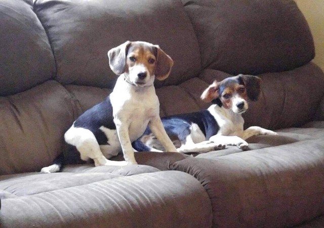 Agency Photo  (78093)