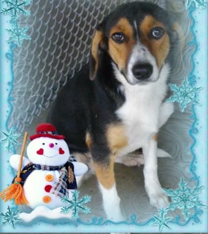 Agency Photo  (78096)