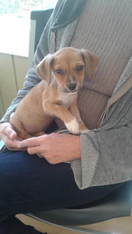 Agency Photo  (78098)