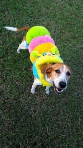 Agency Photo  (78091)