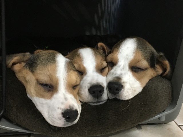 Agency Photo  (78088)