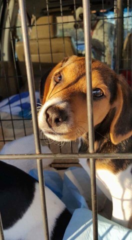 Agency Photo  (78095)