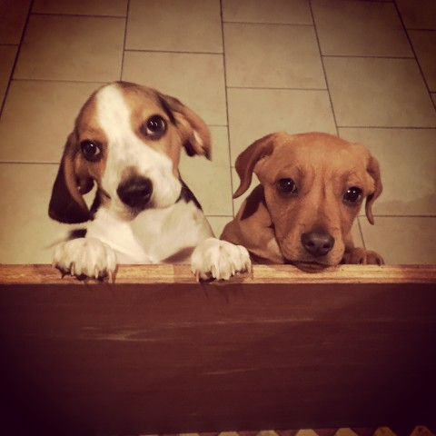 Agency Photo  (78100)