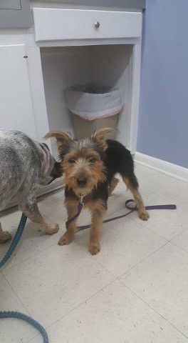 Agency Photo  (78089)