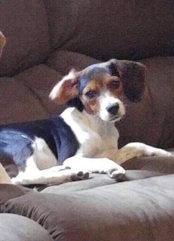 Agency Photo  (78090)