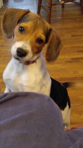 Agency Photo  (78092)