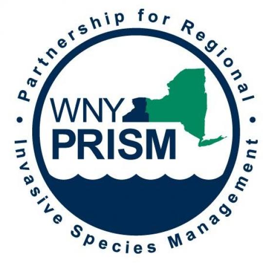 Agency Logo